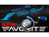 Favorite Blue Bird New