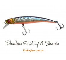 Pontoon 21 Shallow First by Shanin 70SP-SR A12