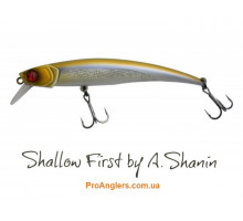 Pontoon 21 Shallow First by Shanin 85F-SR A30
