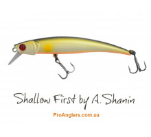 Pontoon 21 Shallow First by Shanin 85SP-SR J05